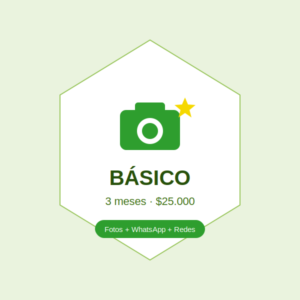 Plan Básico — 3 meses